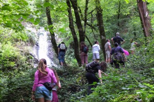 Quercy: Gites de l' Ormerée