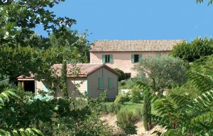 Drome Provence: Domaine des Bridoux