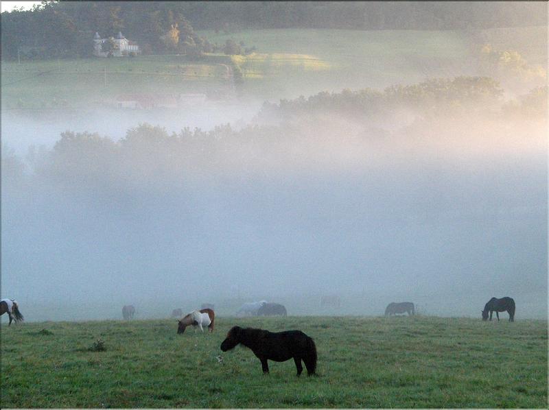 Lot et Garonne: Gite de La Marsale