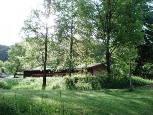 Provence :Ferme équestre Batie Neuve