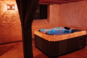 Vienne : Proche Futuroscope:Château de Baillant