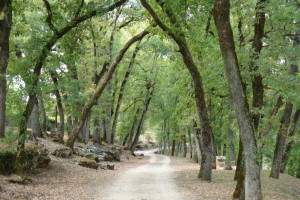 Lot: Gramat- Le Grand Couvent