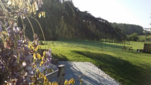 Proche Paris - Yvelines: Maison Prairie Bonheur