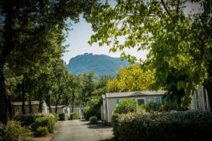 Argeles-sur-Mer :  Camping Le Bois Fleuri