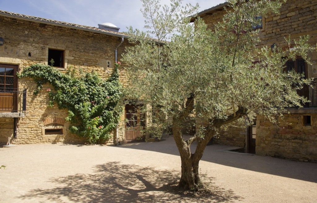 Gite Beaujolais:Le Relais des Pierres Dorées